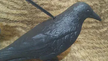 Отпугиватель птиц ворон Bradas