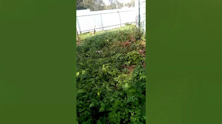 Участок+Дом продажа деревня Сахарово МО